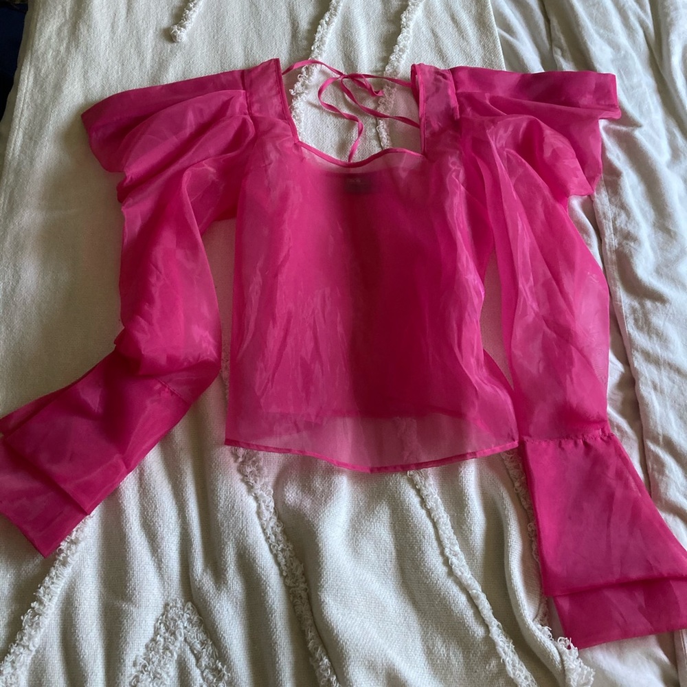 Organza  voluminous sleeve top